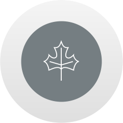 Image for HEET Birch