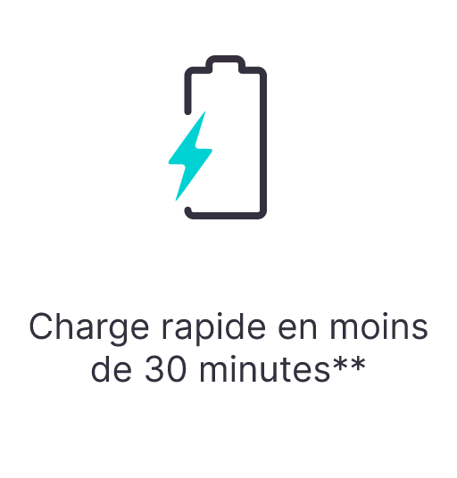 fast charging under 30 minutes*