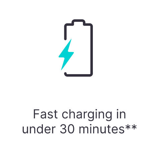 fast charging under 30 minutes*
