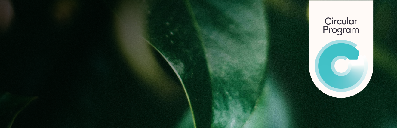 Green Leaf