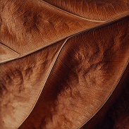 Leaf textured square 
