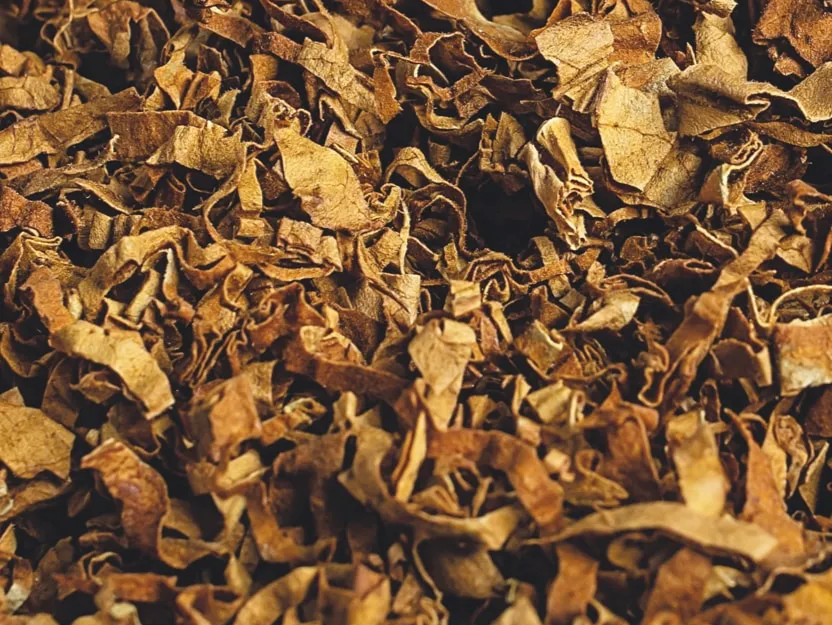 Tobacco leaves.