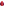 elm