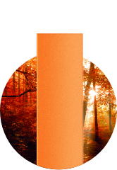 Icon for HEET Oak