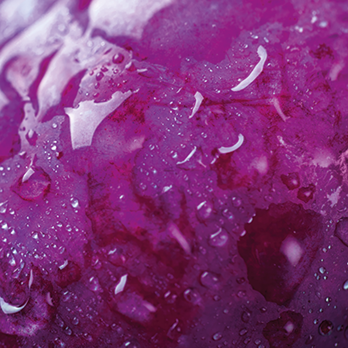 Purple textured background