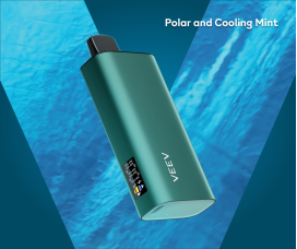Ice Mint VEEV NOW 18 mL disposable