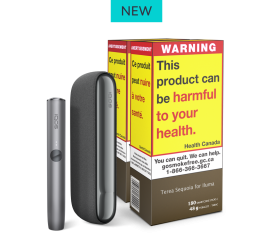 Pebble Grey IQOS ILUMA device and holder. 2 TEREA packages.